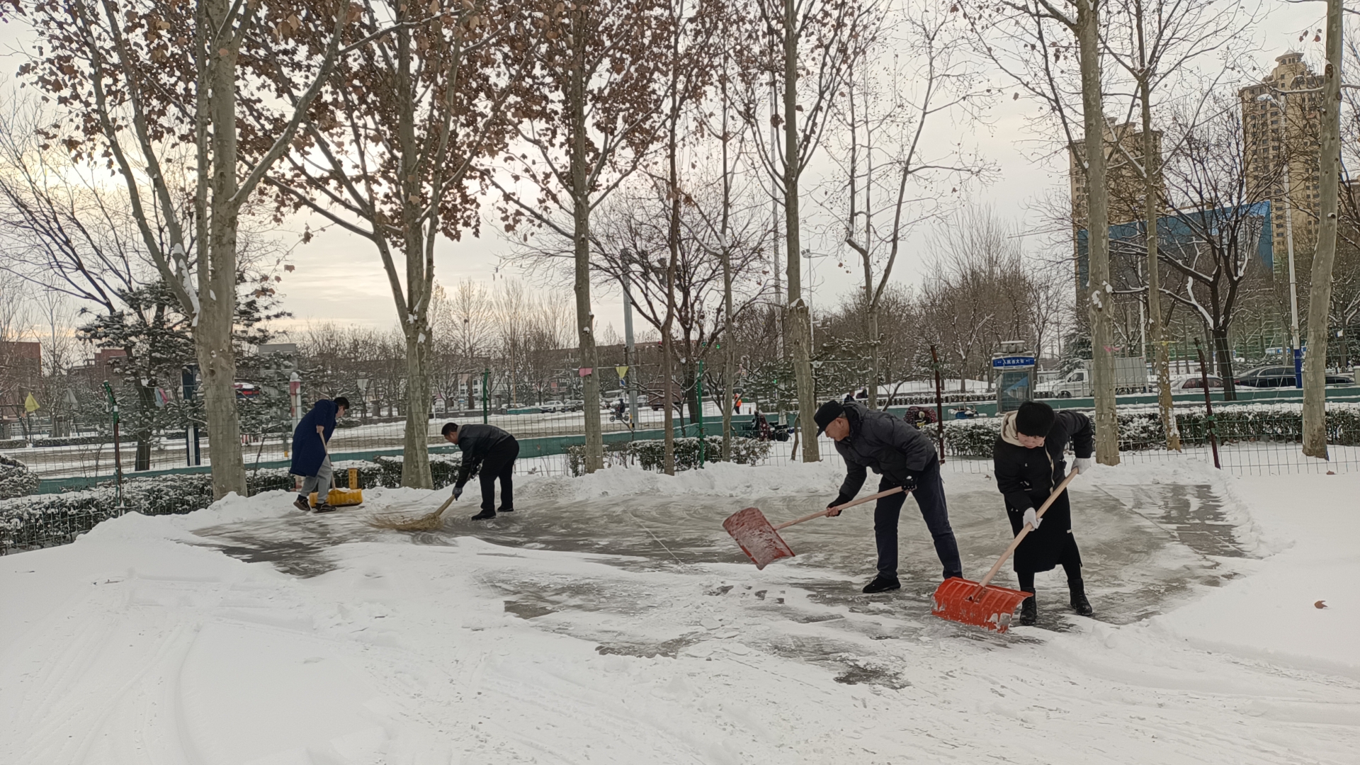 77155869.jpg 77155869.jpg